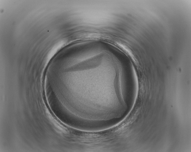 X0000086941475200704231345