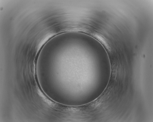 X0000086941476200704231345