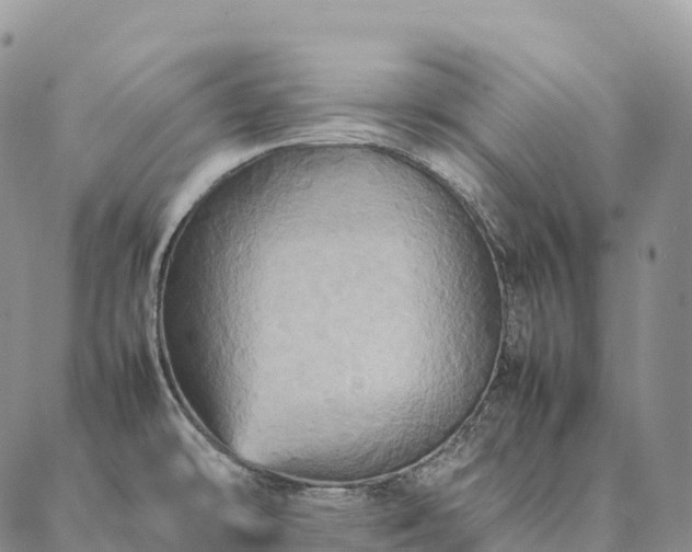 X0000086941478200704231345