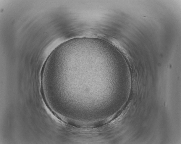 X0000086941479200704231345