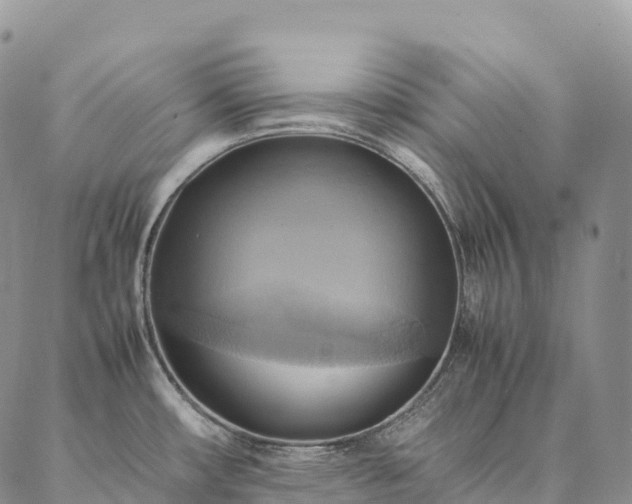 X0000086941482200704231345