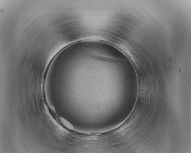 X0000086941484200704231345