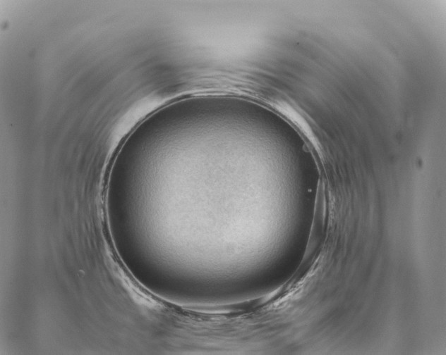 X0000086941485200704231345