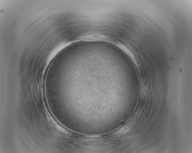 X0000086941486200704231345