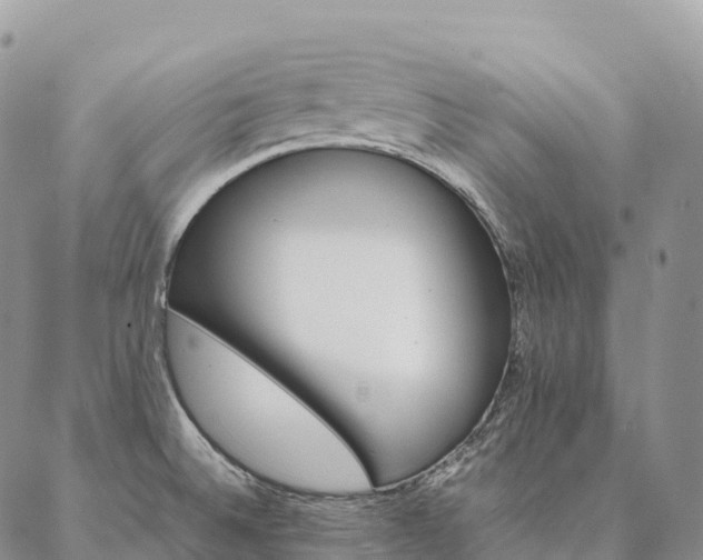 X0000086941524200704231345