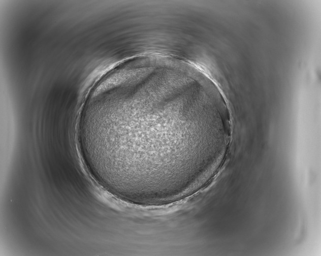 X0000086940001200704301146