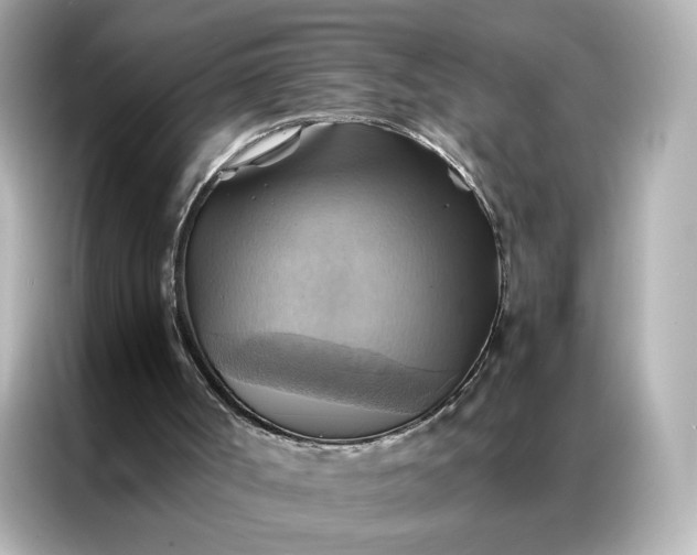 X0000086940002200704301146