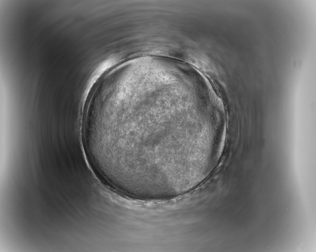 X0000086940003200704301146