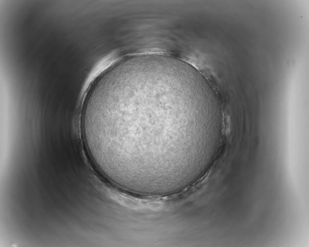 X0000086940004200704301146