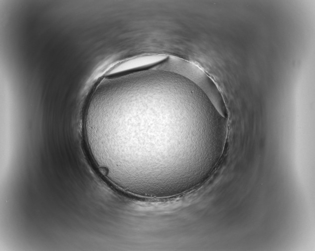 X0000086940005200704301146