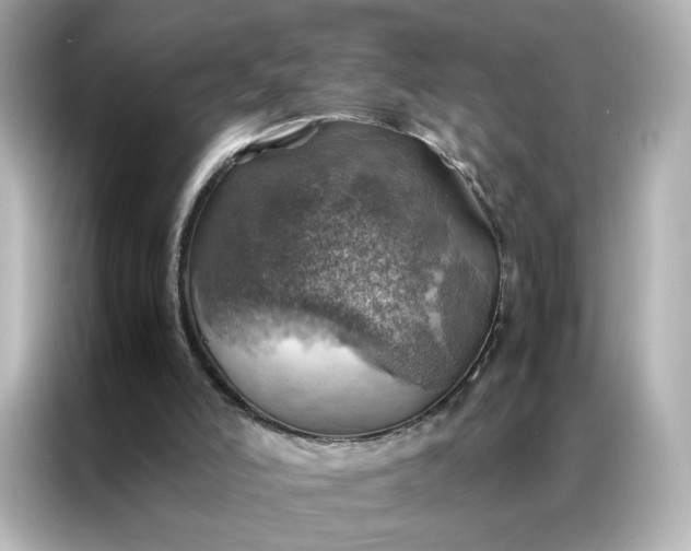 X0000086940006200704301146