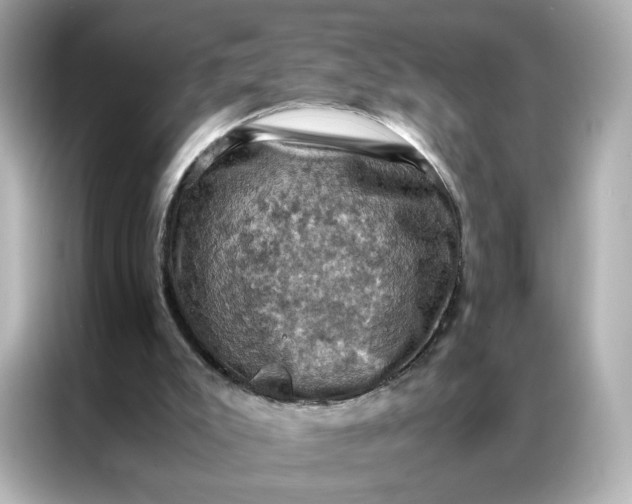 X0000086940007200704301146