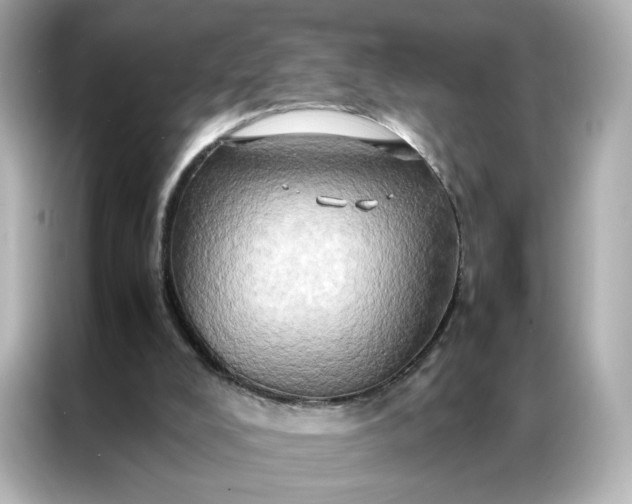 X0000086940008200704301146