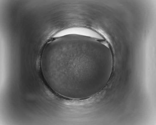 X0000086940009200704301146