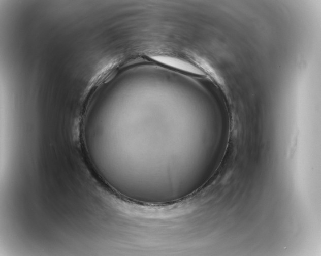 X0000086940010200704301146