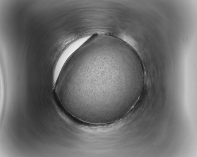 X0000086940013200704301146