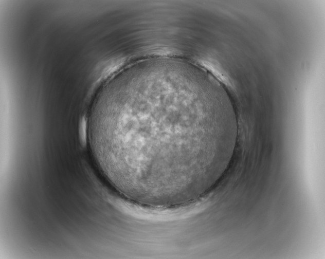 X0000086940014200704301146