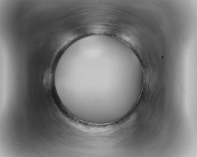 X0000086940016200704301146