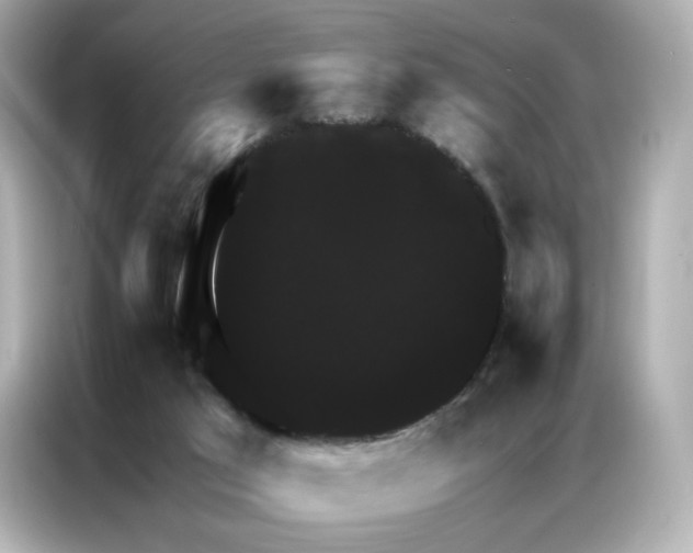 X0000086940017200704301146