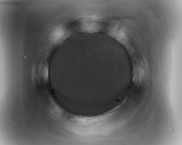 X0000086940021200704301146