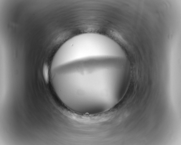 X0000086940022200704301146