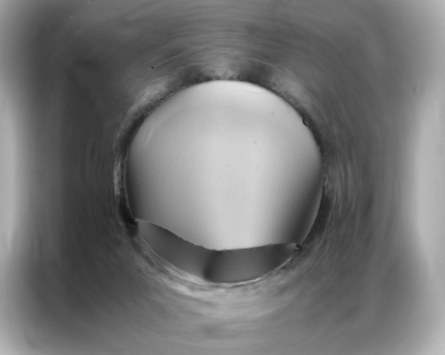 X0000086940023200704301146