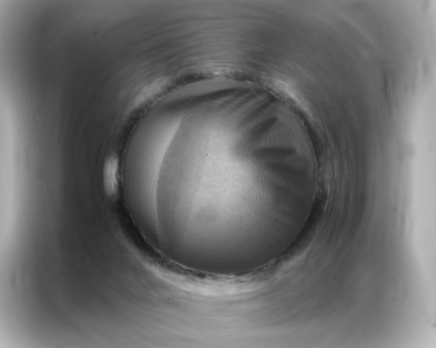 X0000086940024200704301146