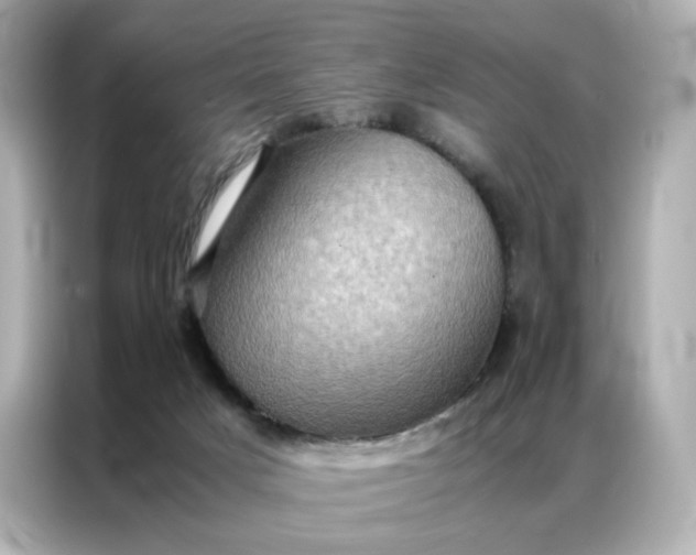 X0000086940025200704301146