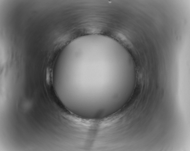 X0000086940026200704301146