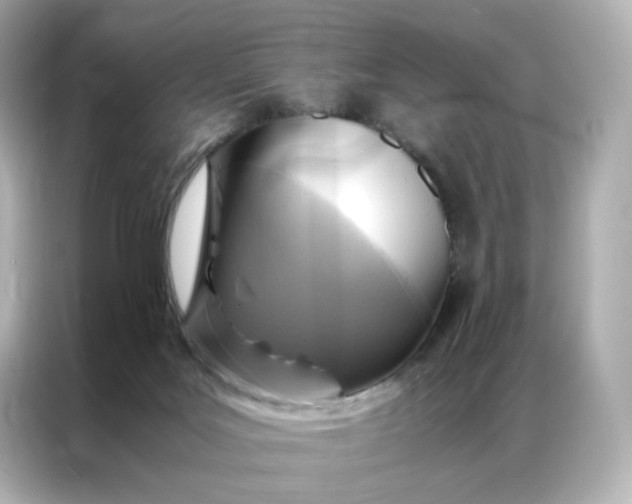 X0000086940027200704301146