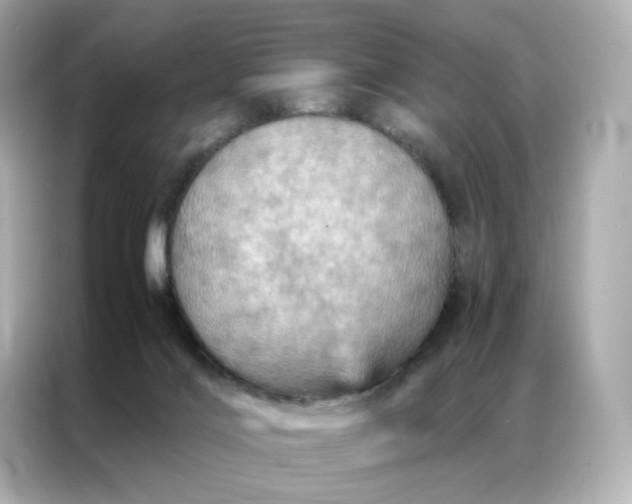 X0000086940028200704301146