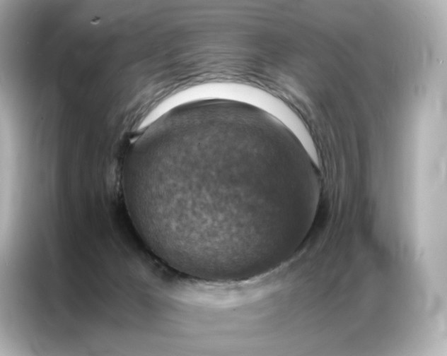 X0000086940029200704301146