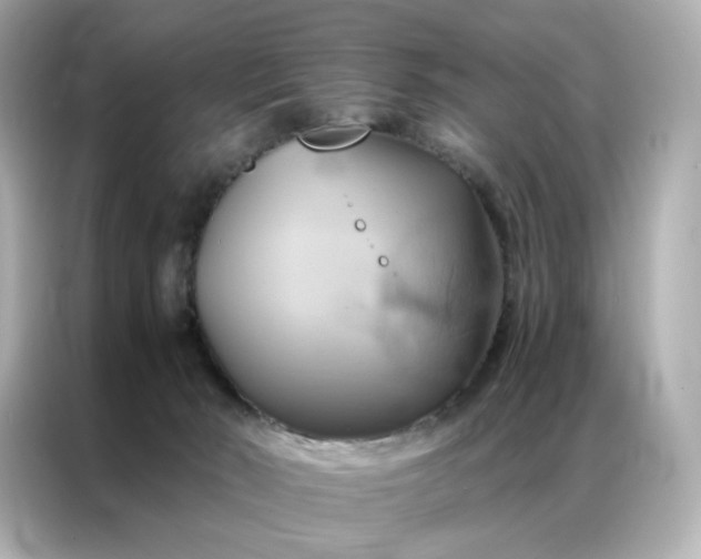 X0000086940030200704301146