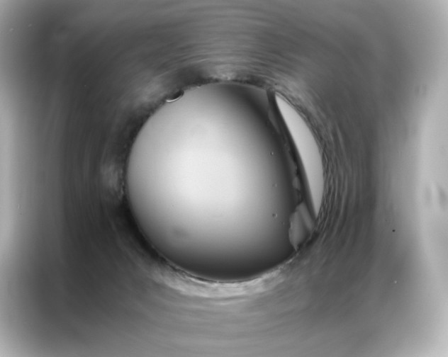 X0000086940031200704301146