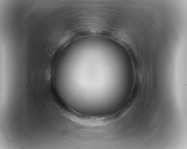 X0000086940032200704301146