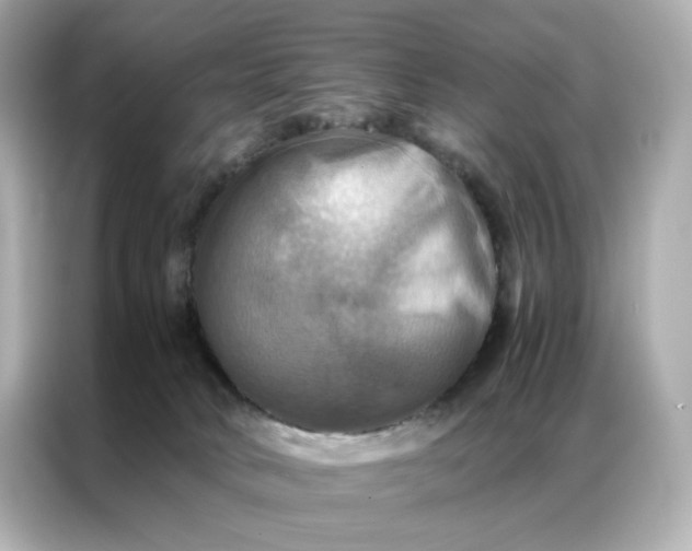 X0000086940034200704301146