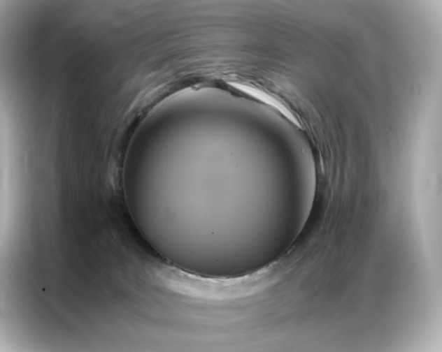 X0000086940035200704301146