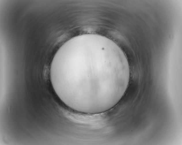 X0000086940036200704301146