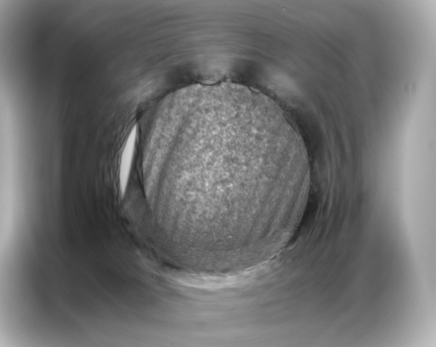 X0000086940037200704301146