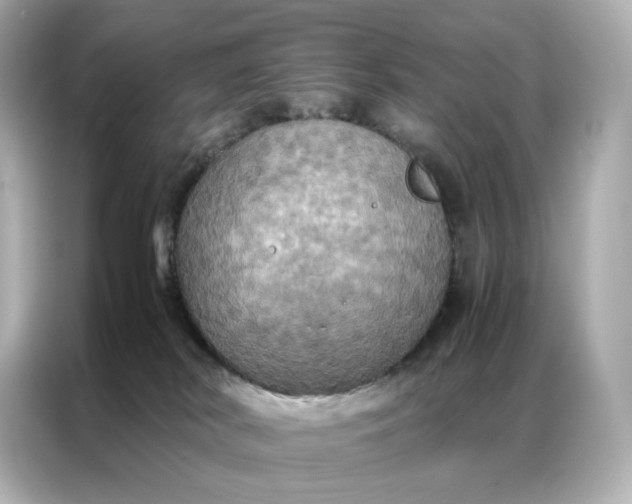 X0000086940038200704301146