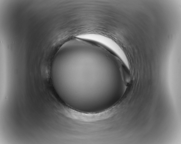 X0000086940039200704301146