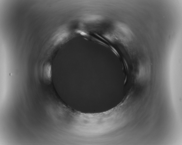 X0000086940041200704301146