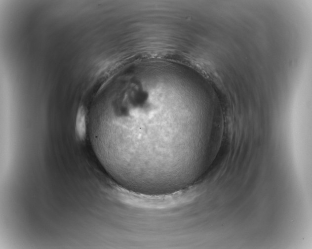 X0000086940042200704301146