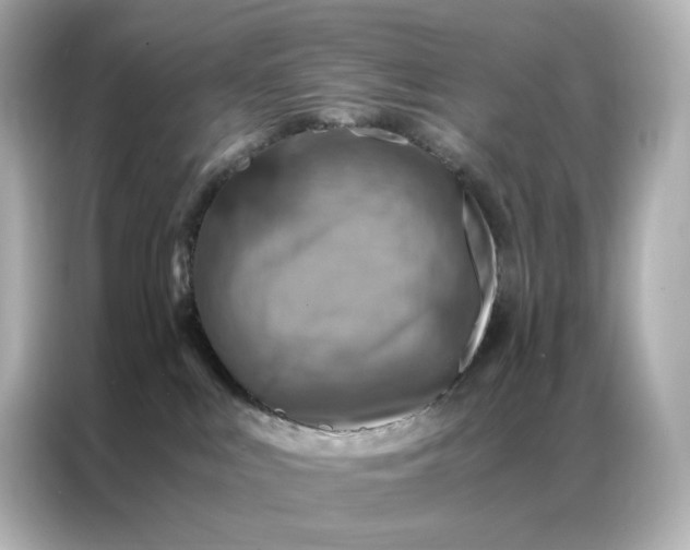 X0000086940043200704301146