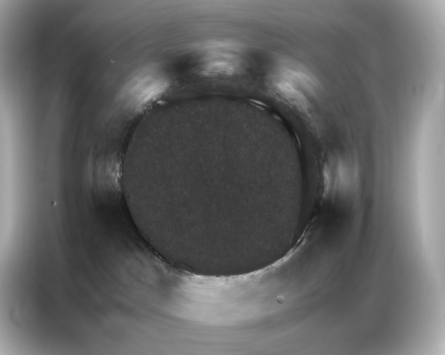 X0000086940045200704301146