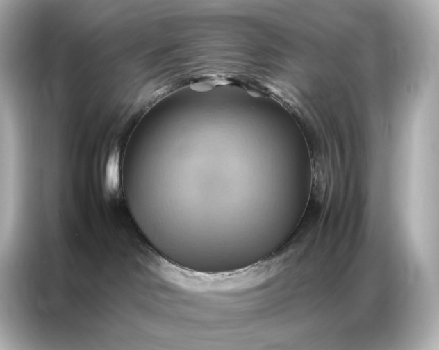 X0000086940046200704301146