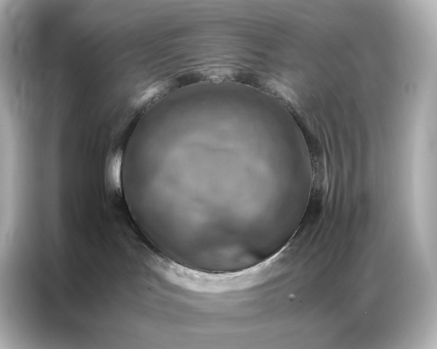 X0000086940047200704301146