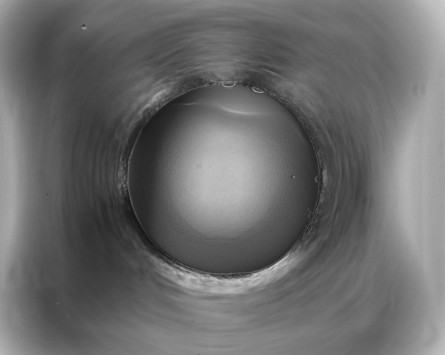 X0000086940048200704301146