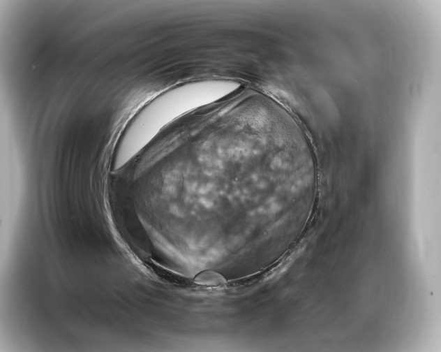 X0000086940049200704301145