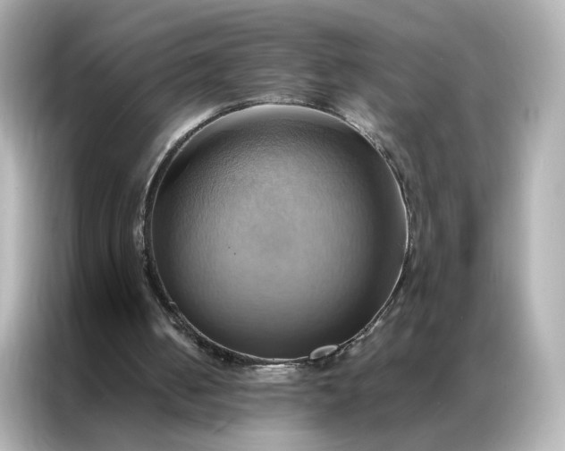 X0000086940050200704301145